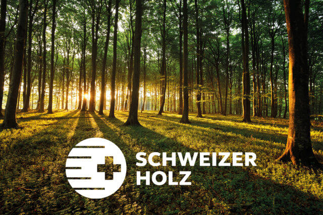 Strüby Schweizer Holz